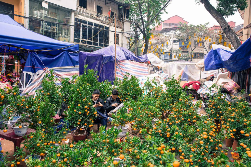 Komkuat en vente dans les rues de Hanoi, Vietnam