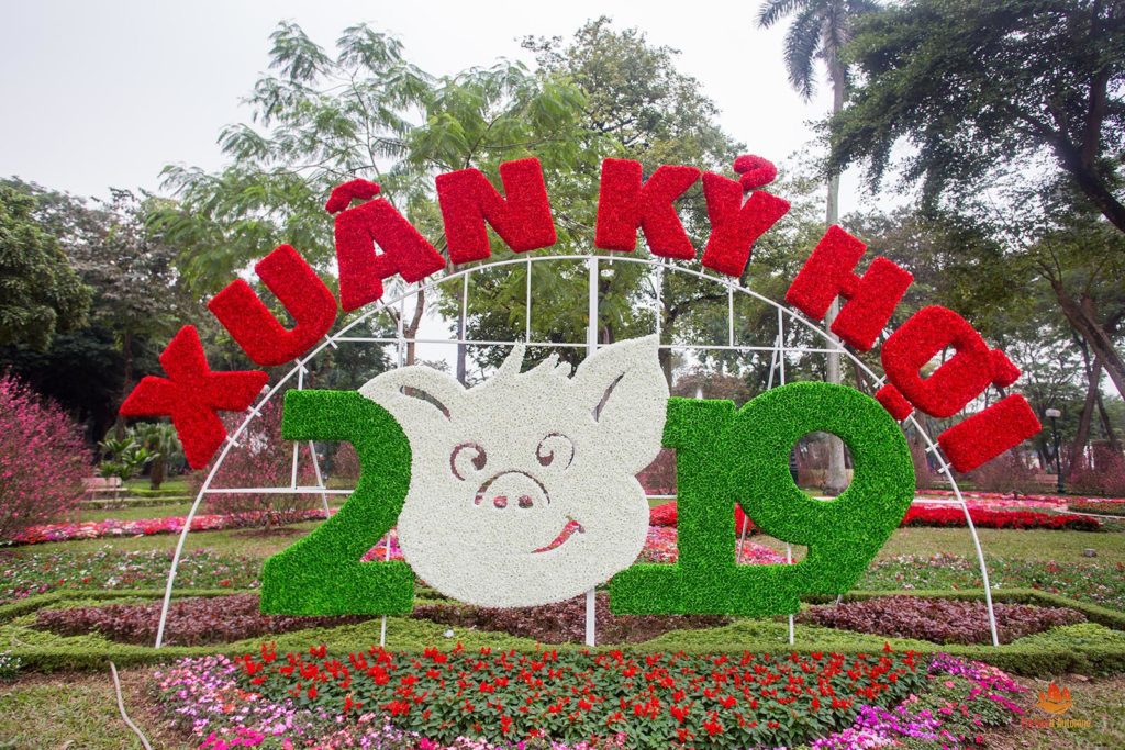L'année du cochon fêtée à Hanoi, Vietnam