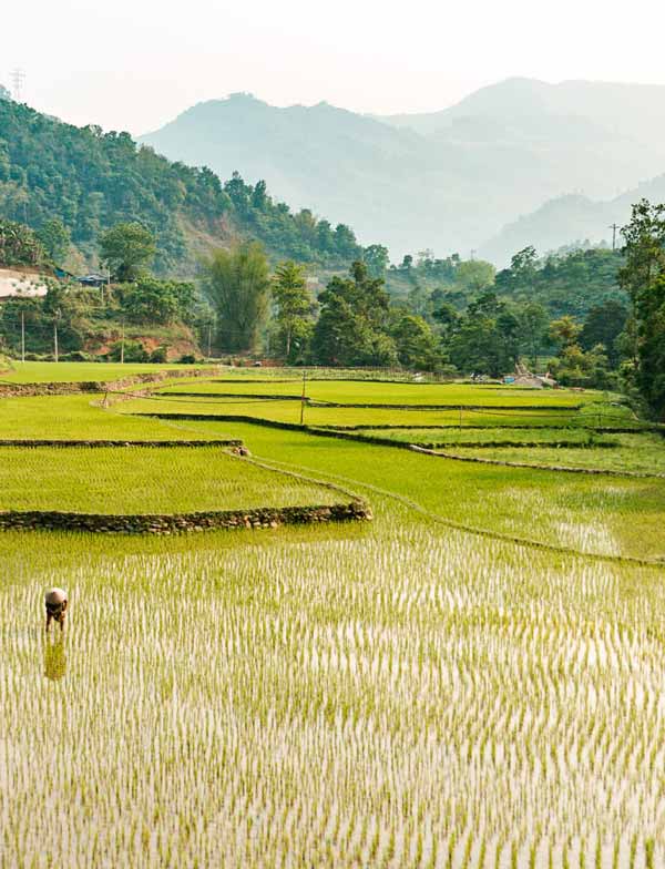 Nord-Vietnam