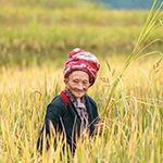 Sapa Femme posant dans un champ de riz