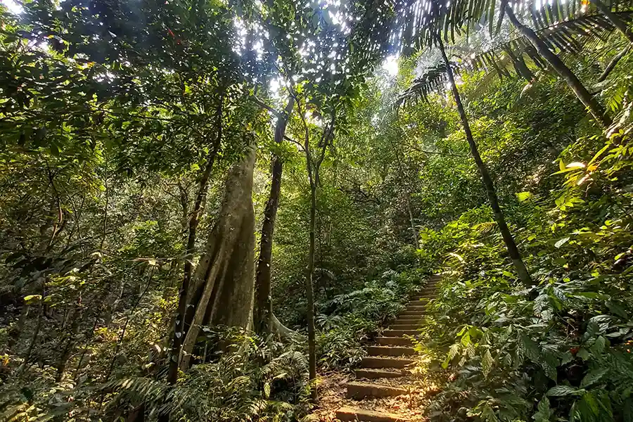 Cuc Phuong Park
