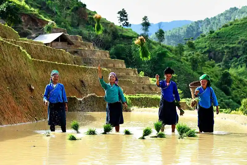 Femme de l ethnie Nung au Vietnam