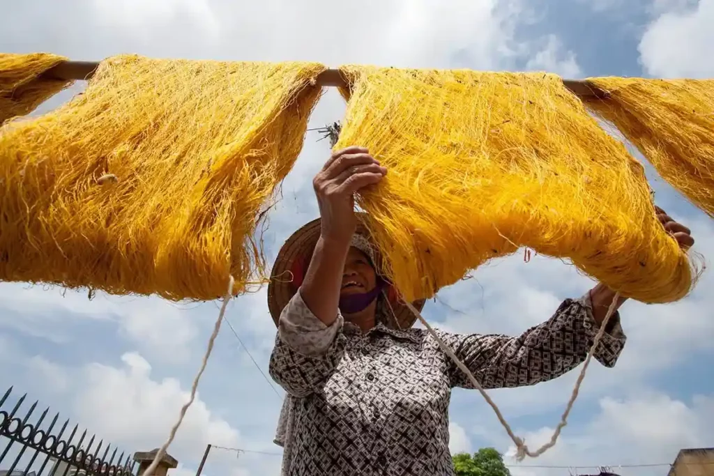 La soie vietnamienne
