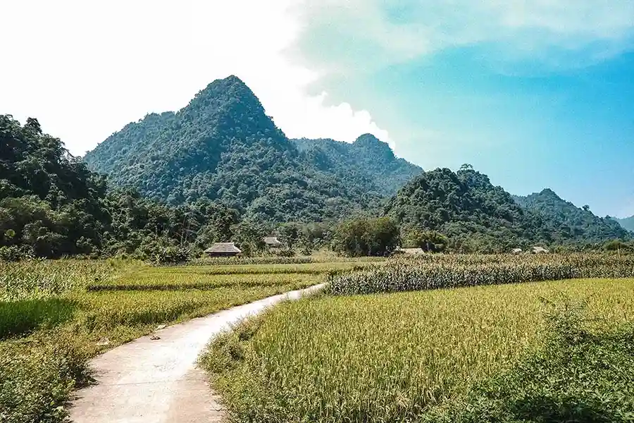 Vallée Lam Thuong