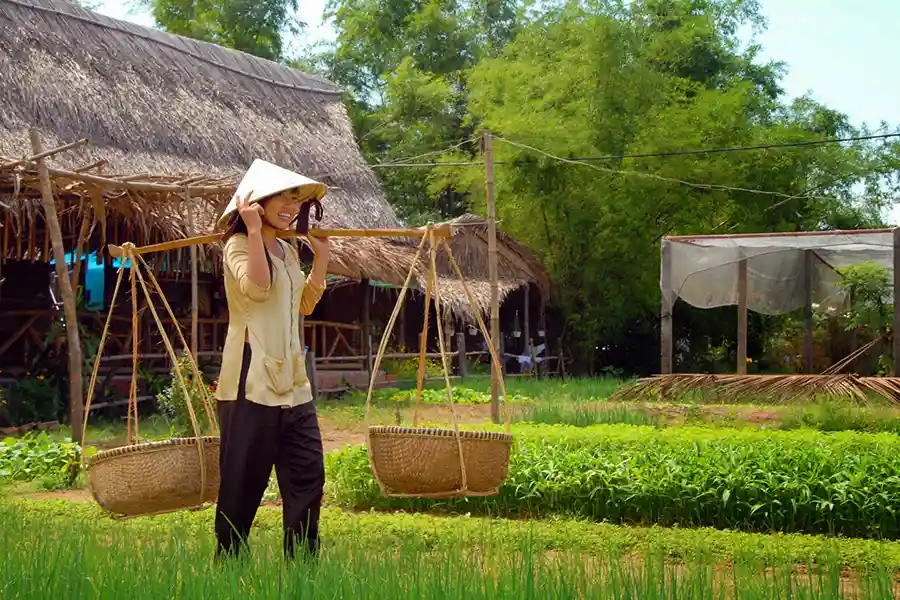 Maraichage à Tra Que, Hoi An