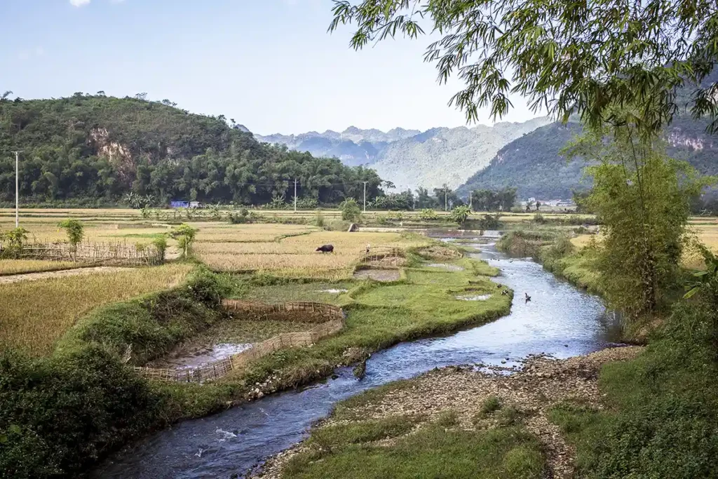 Paysage bucolique de Mai Chau