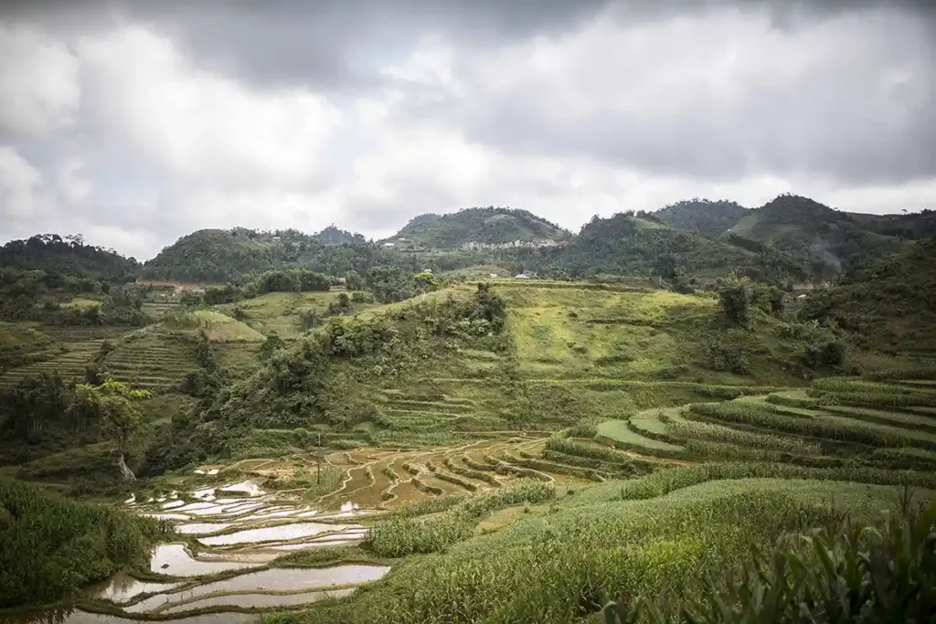 Rizières de Mai Chau