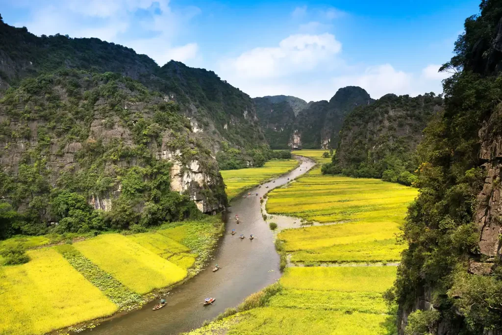 Rizières de Tam Coc avant la récolte, Vietnam
