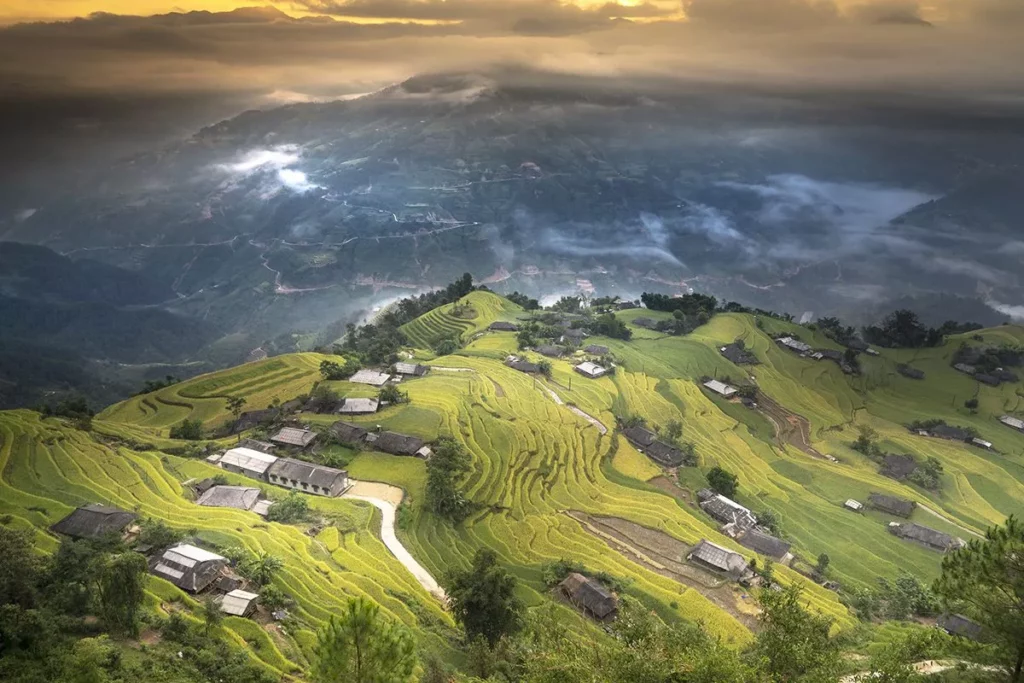 hoanng su phi