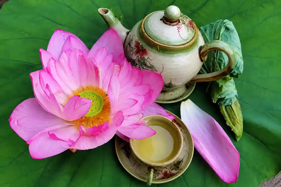 Présentation du thé au Lotus dans une fleur au lotus